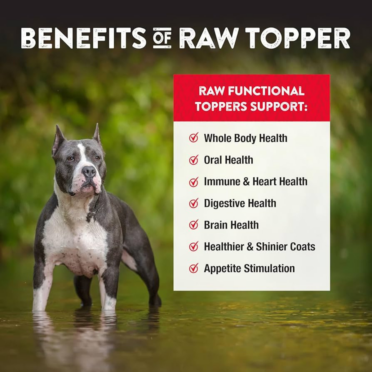 Feeze Dried FUNCTIONAL Food Topper for Dogs & Cats - Beef Liver with Turmeric - 4.5 oz