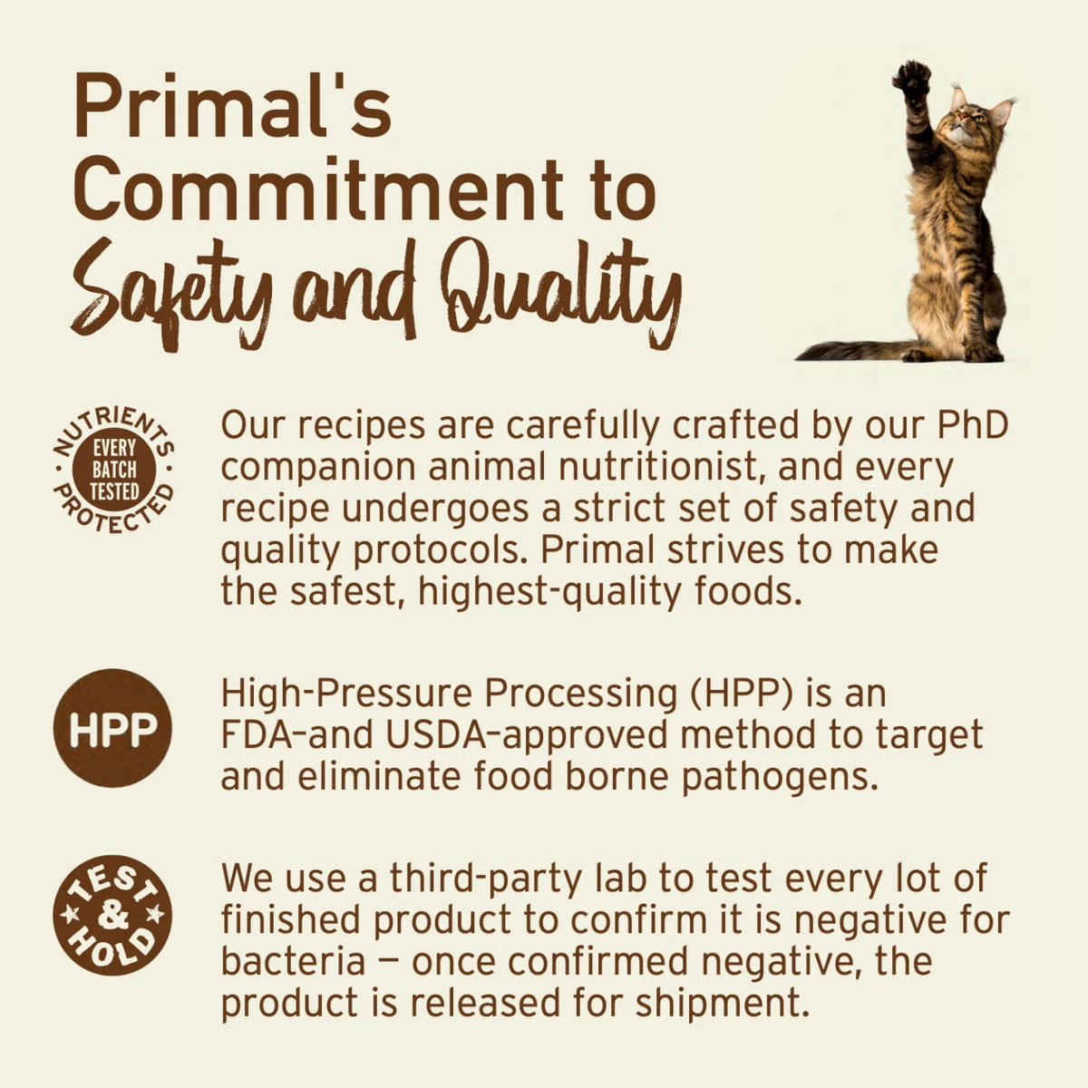 Cat Frozen Raw - Pork Nuggets