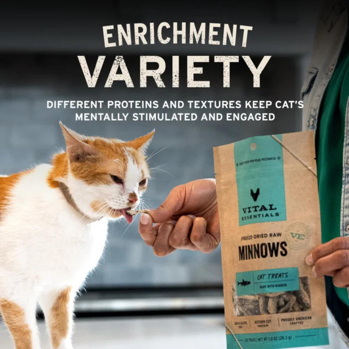 Freeze Dried Cat Treat - Chicken Giblets