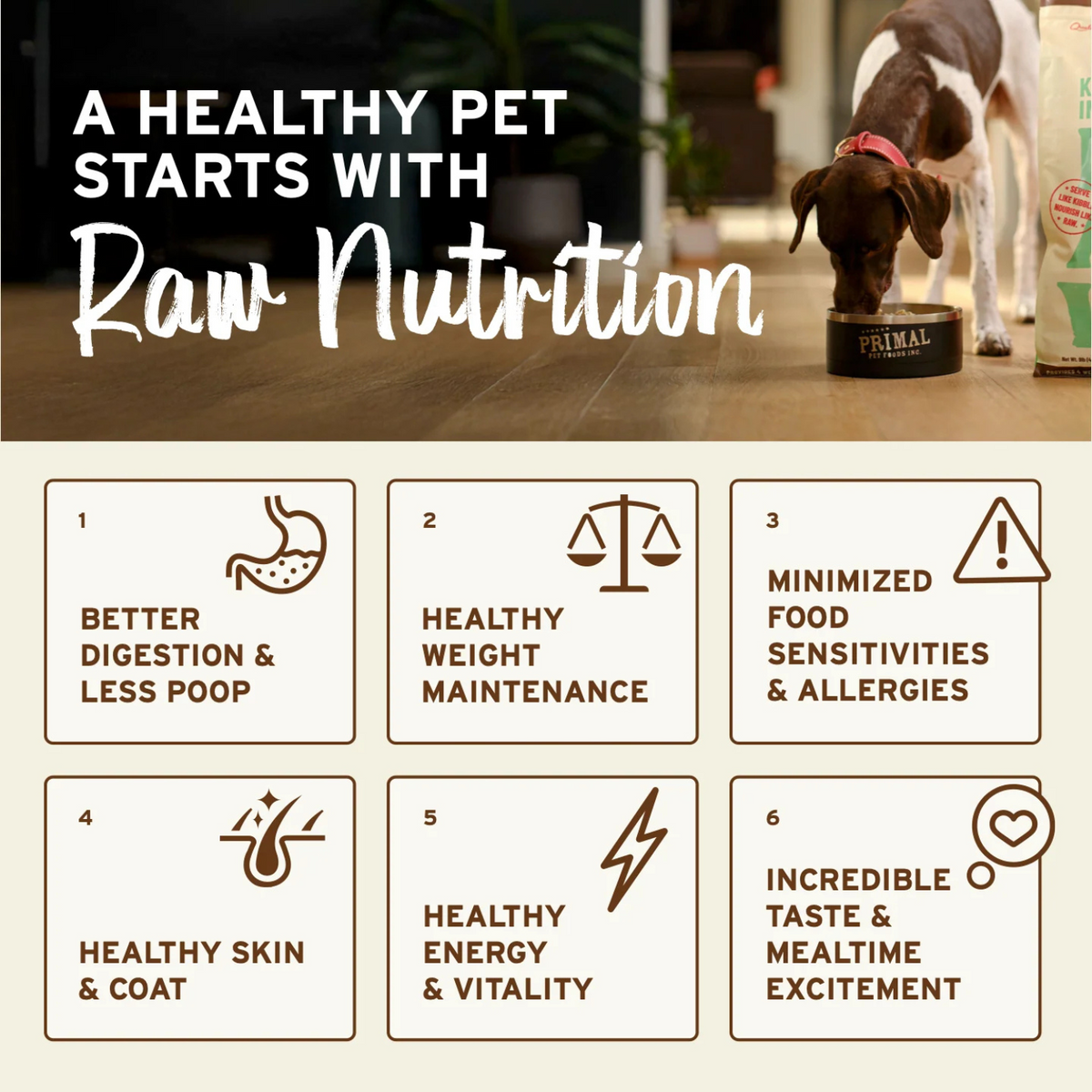 Freeze Dried Dog Food - Chicken Dinner Nuggets - Adult
