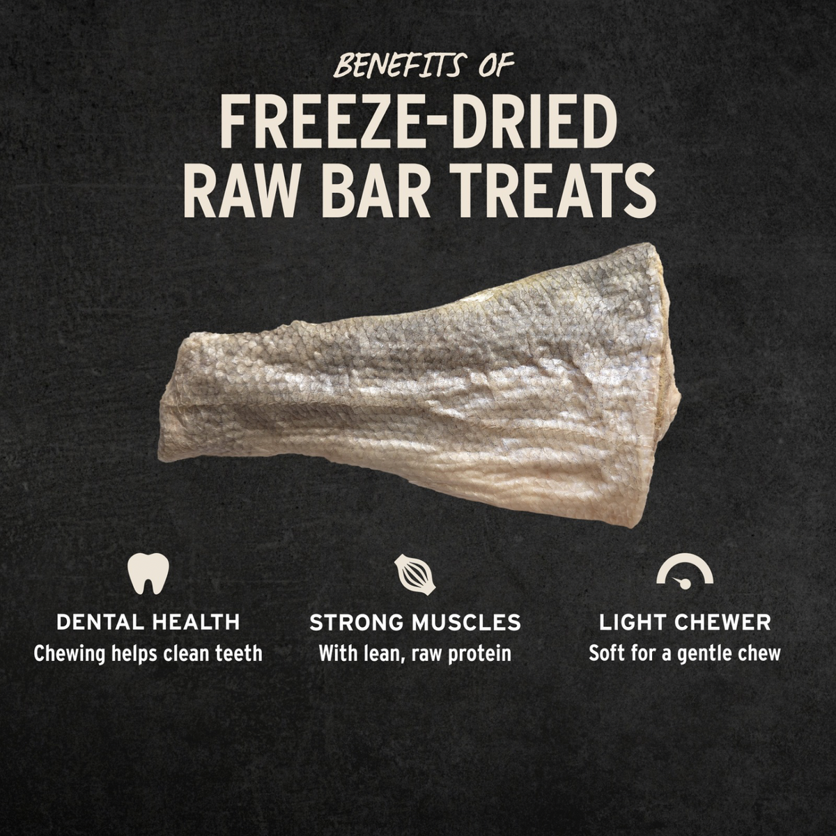Freeze Dried Dog Treat - Raw Bar - Silver Carp Filet