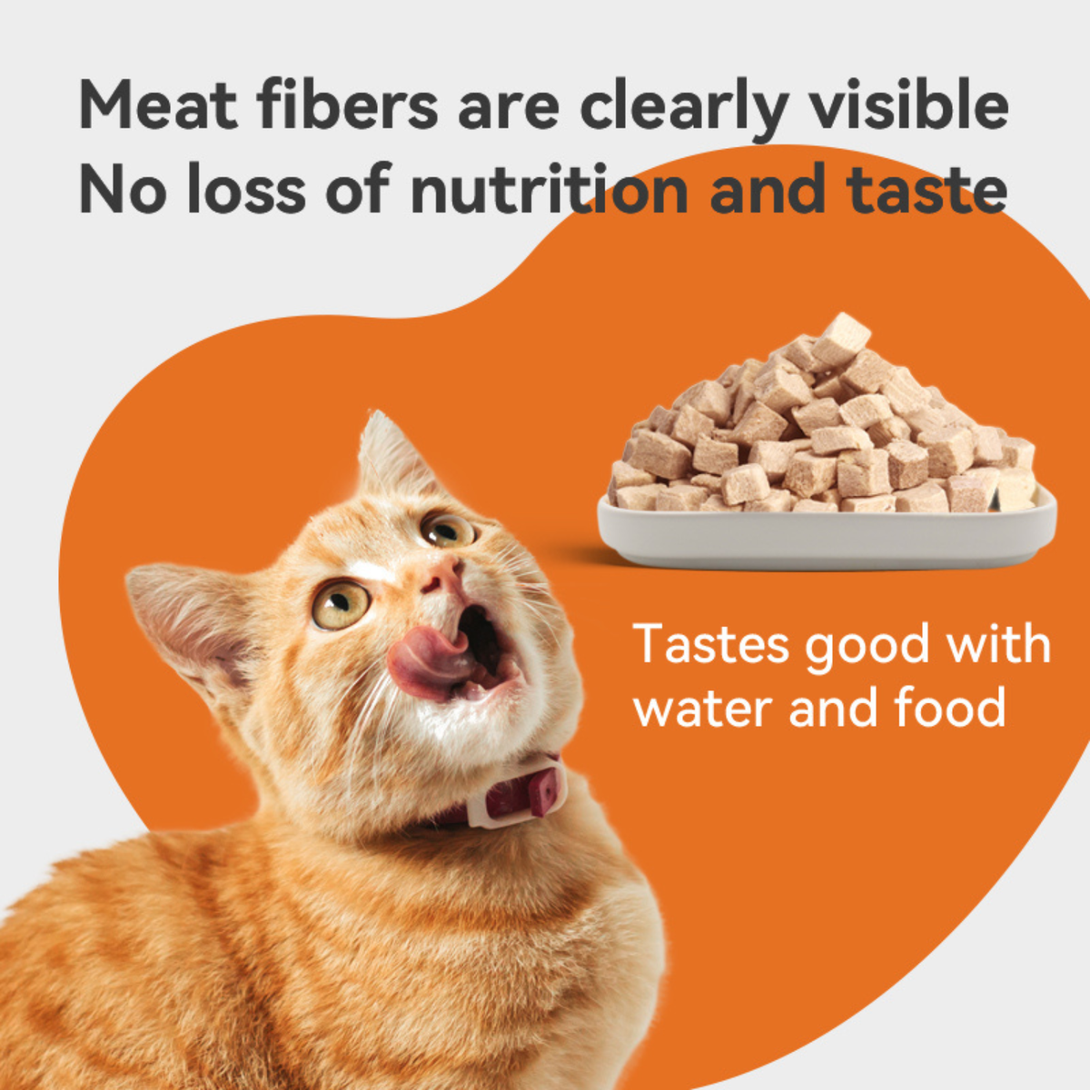Freeze Dried Cat Treat - Duck