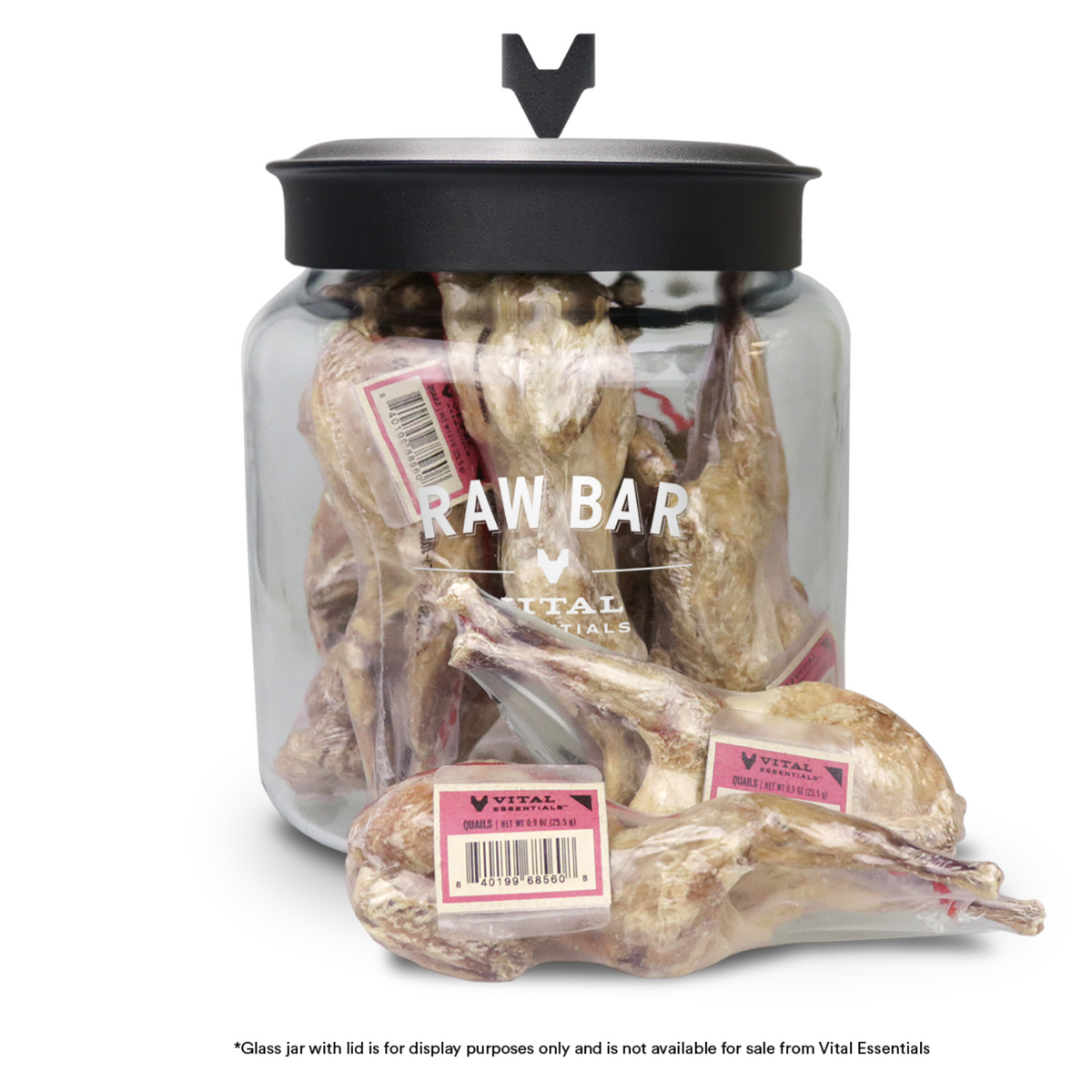 Freeze Dried Dog Treat - Raw Bar - Whole Quail