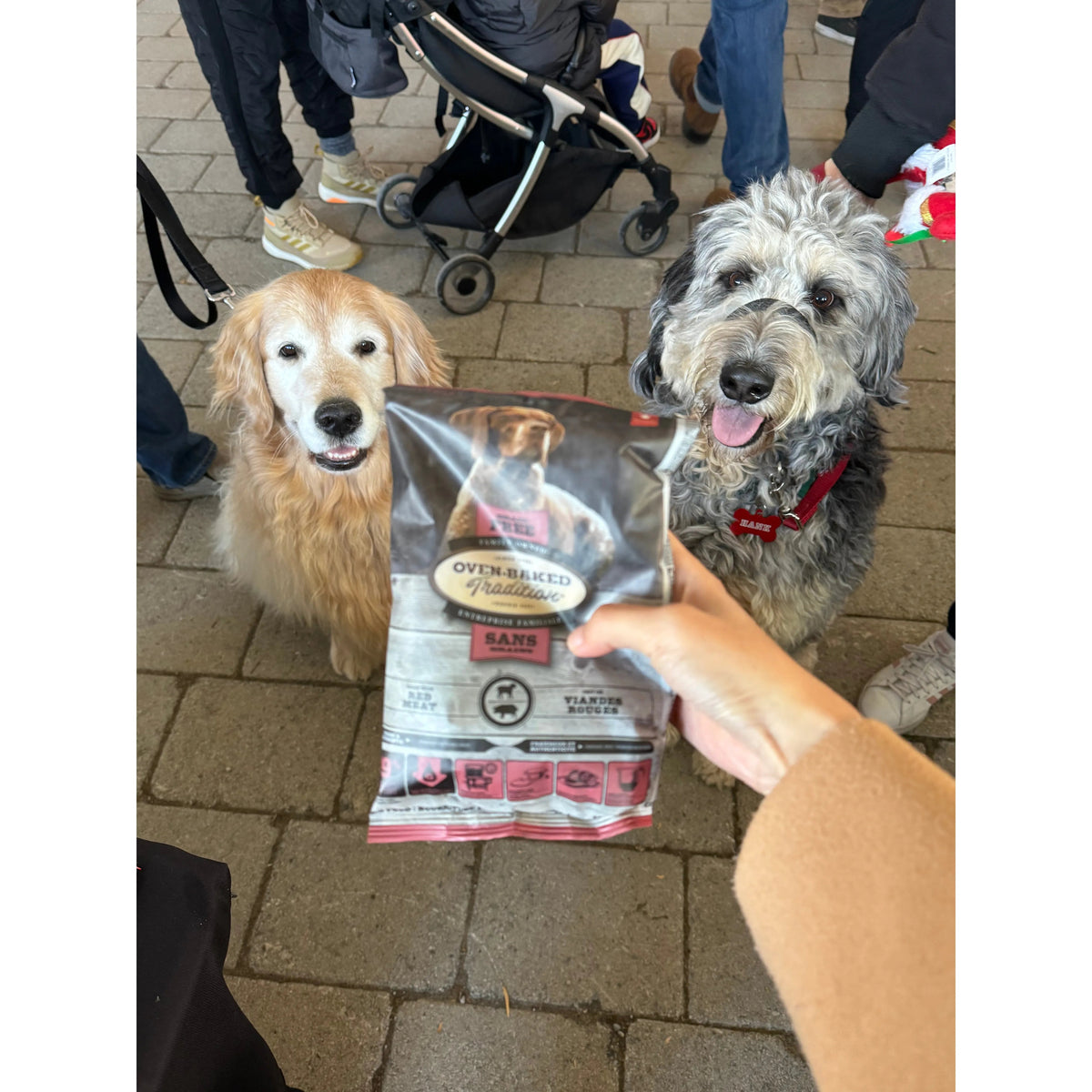 Oven-Baked Tradition All Breeds All Life Stages Grain Free Red Meat Dog Food