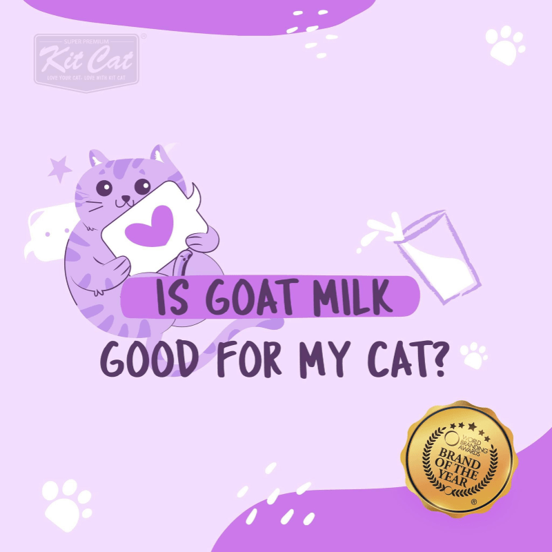 Canned Cat Treat - Goat Milk Gourmet