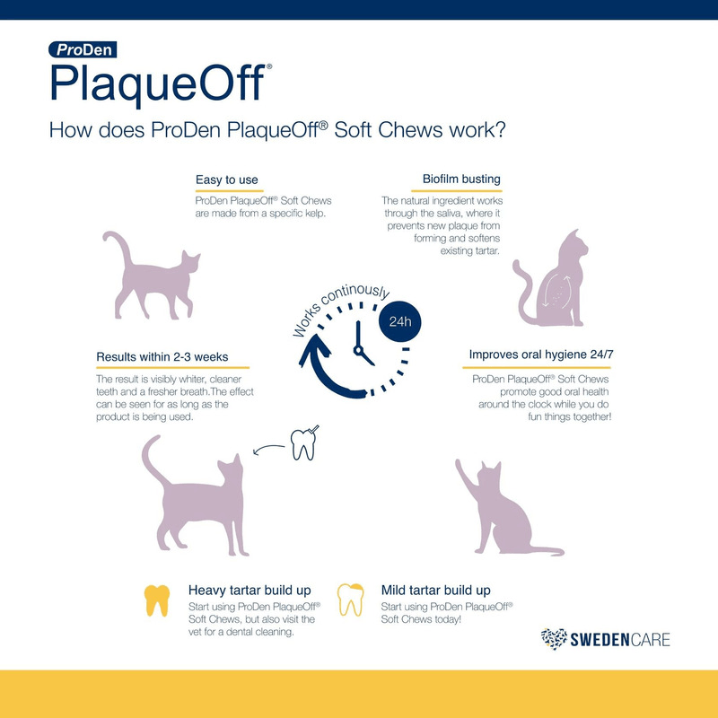 Cat Dental Care - PlaqueOff Soft Chews - 45 ct