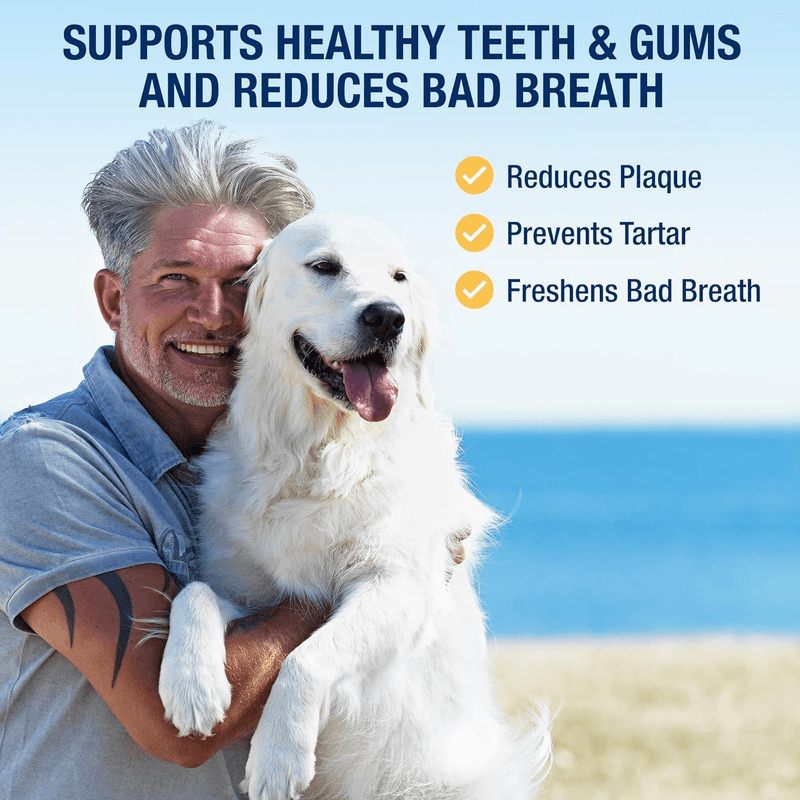 Dental Care - PlaqueOff Powder For Dogs & Cats