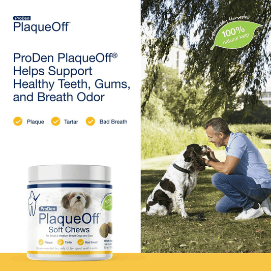 Dog & Cat Dental Care - PlaqueOff Soft Chews For Small & Medium Breed Dogs and Cats