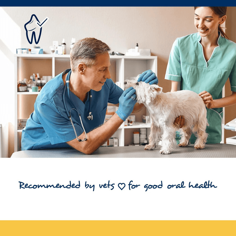 Dog & Cat Dental Care - PlaqueOff Soft Chews For Small & Medium Breed Dogs and Cats