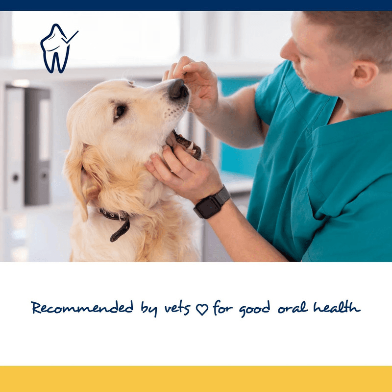 Dog Dental Care - PlaqueOff Soft Chews For Large & Giant Breed Dogs