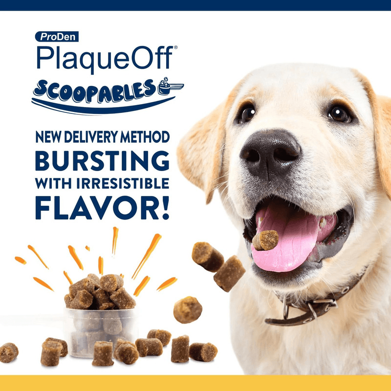 Dog Dental Care - SCOOPABLES - PlaqueOff Soft Chews For Large & Giant Breed Dogs - 45 scoops