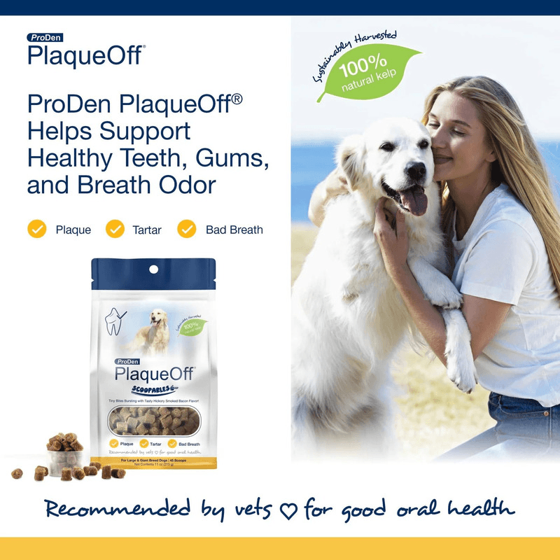 Dog Dental Care - SCOOPABLES - PlaqueOff Soft Chews For Large & Giant Breed Dogs - 45 scoops