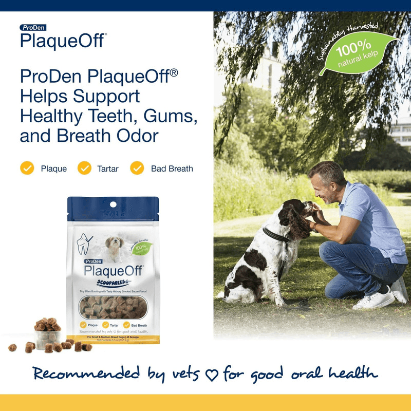 Dog Dental Care - SCOOPABLES - PlaqueOff Soft Chews For Small & Medium Breed Dogs - 45 scoops