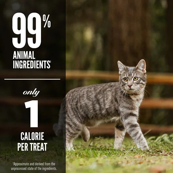 Orijen Freeze-Dried Cat Treats- Original