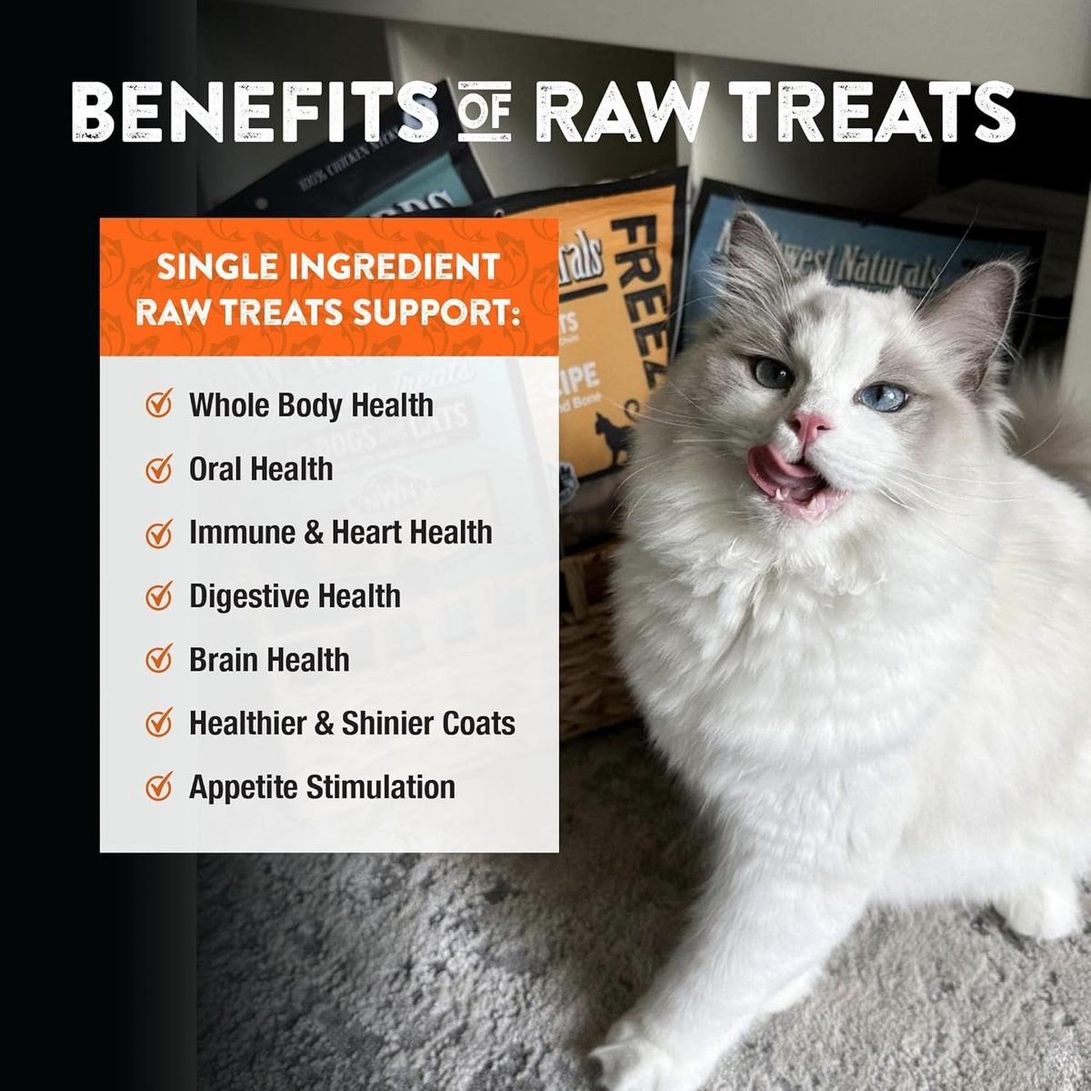 Freeze Dried Treat for Dogs & Cats - RAW REWARDS - Salmon - 2.5 oz