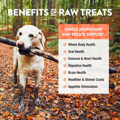 Freeze Dried Treat for Dogs & Cats - RAW REWARDS - Whole Baby Shrimp - 1 oz