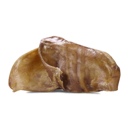 Freeze Dried Dog Treat - Raw Bar - Pig Ear