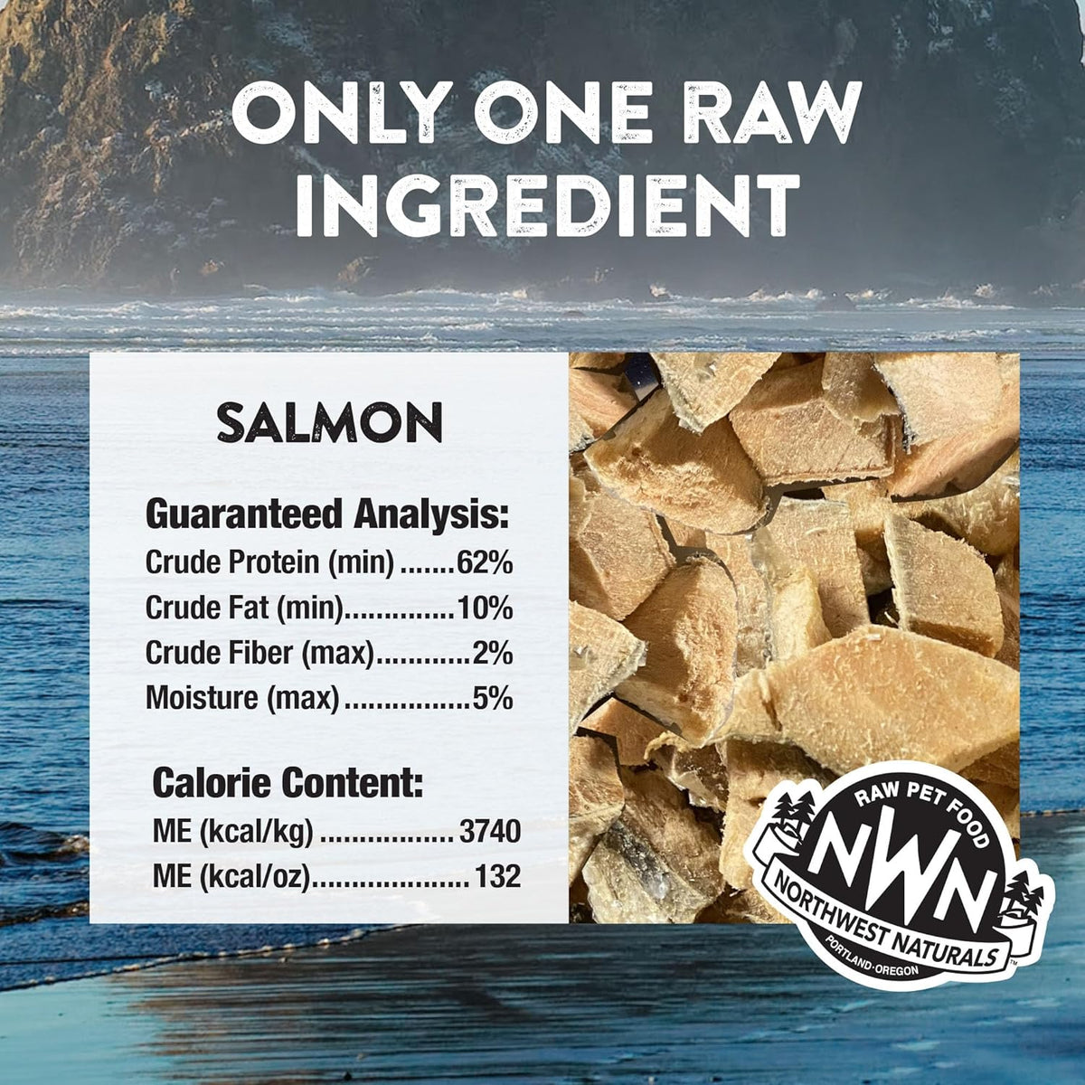 Freeze Dried Treat for Dogs & Cats - RAW REWARDS - Salmon - 2.5 oz