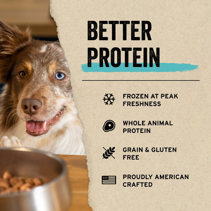 Freeze Dried Dog Food Topper, PROTEIN MIX-IN, Chicken Recipe - Mini Nibs