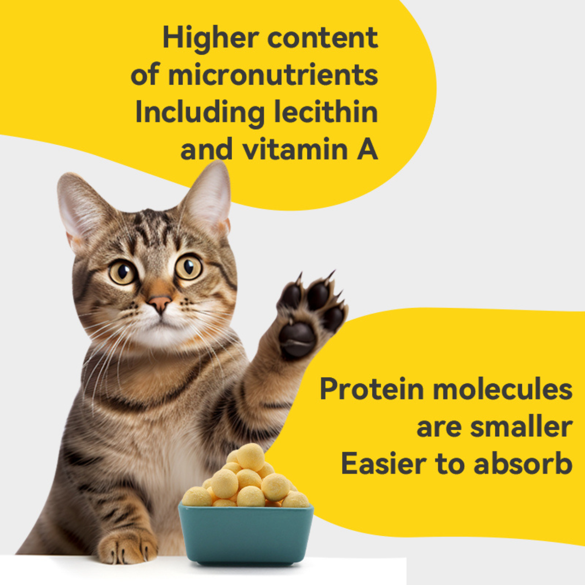 Freeze Dried Dog & Cat Treat - Quail Egg Yolk