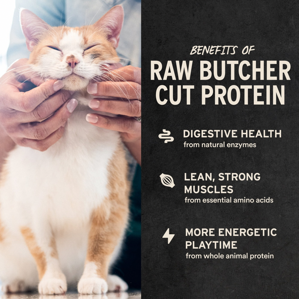 Freeze Dried Cat Treat - Rabbit Bites