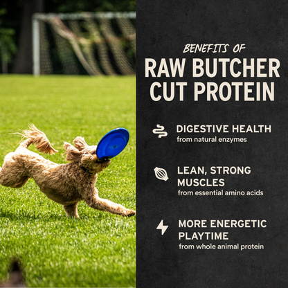 Freeze Dried Dog Treat - Duck Bites