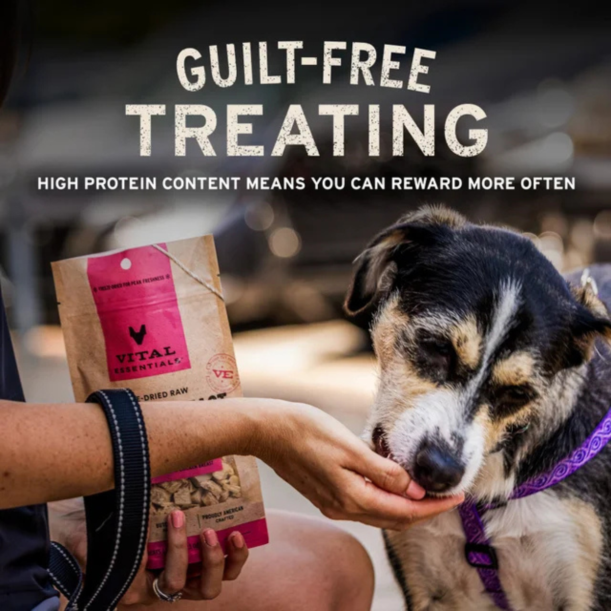 Freeze Dried Dog Treat - Salmon Bites