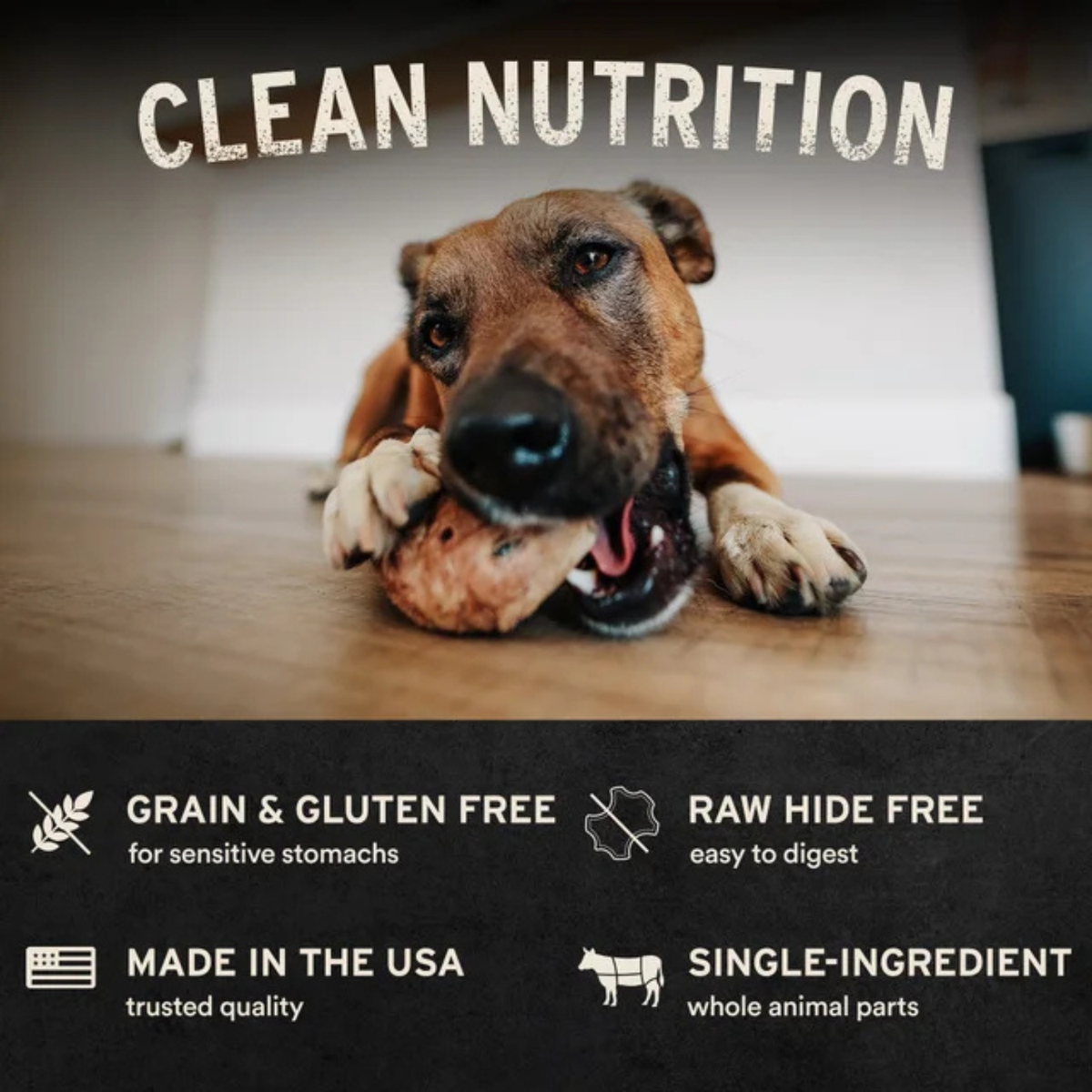 Freeze Dried Dog Treat - Raw Bar - Duck Neck