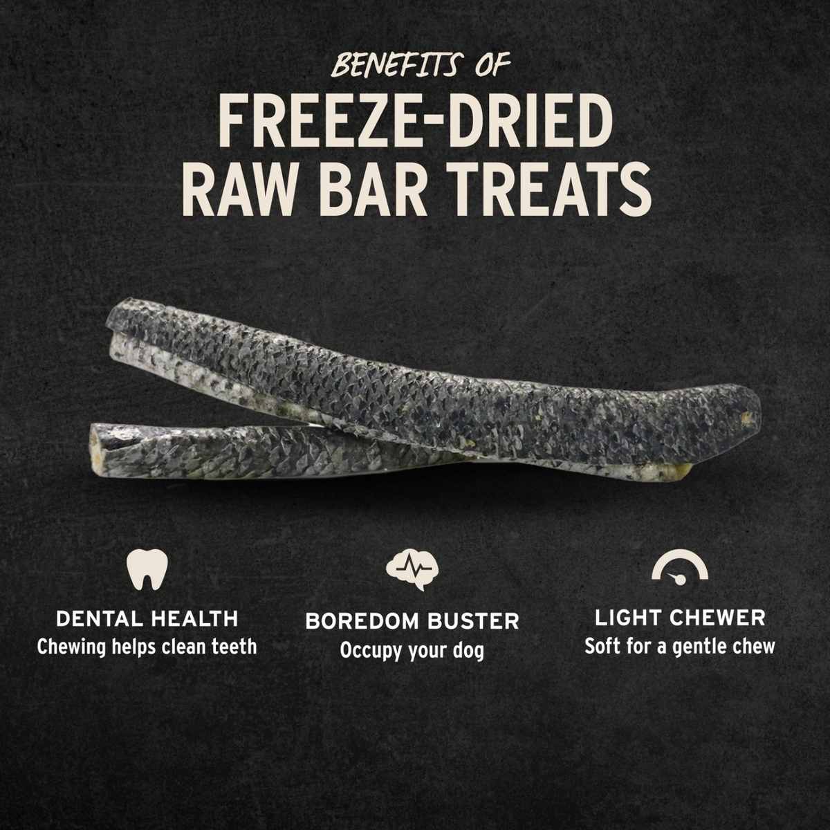 Freeze Dried Dog Treat - Raw Bar - Salmon Skin