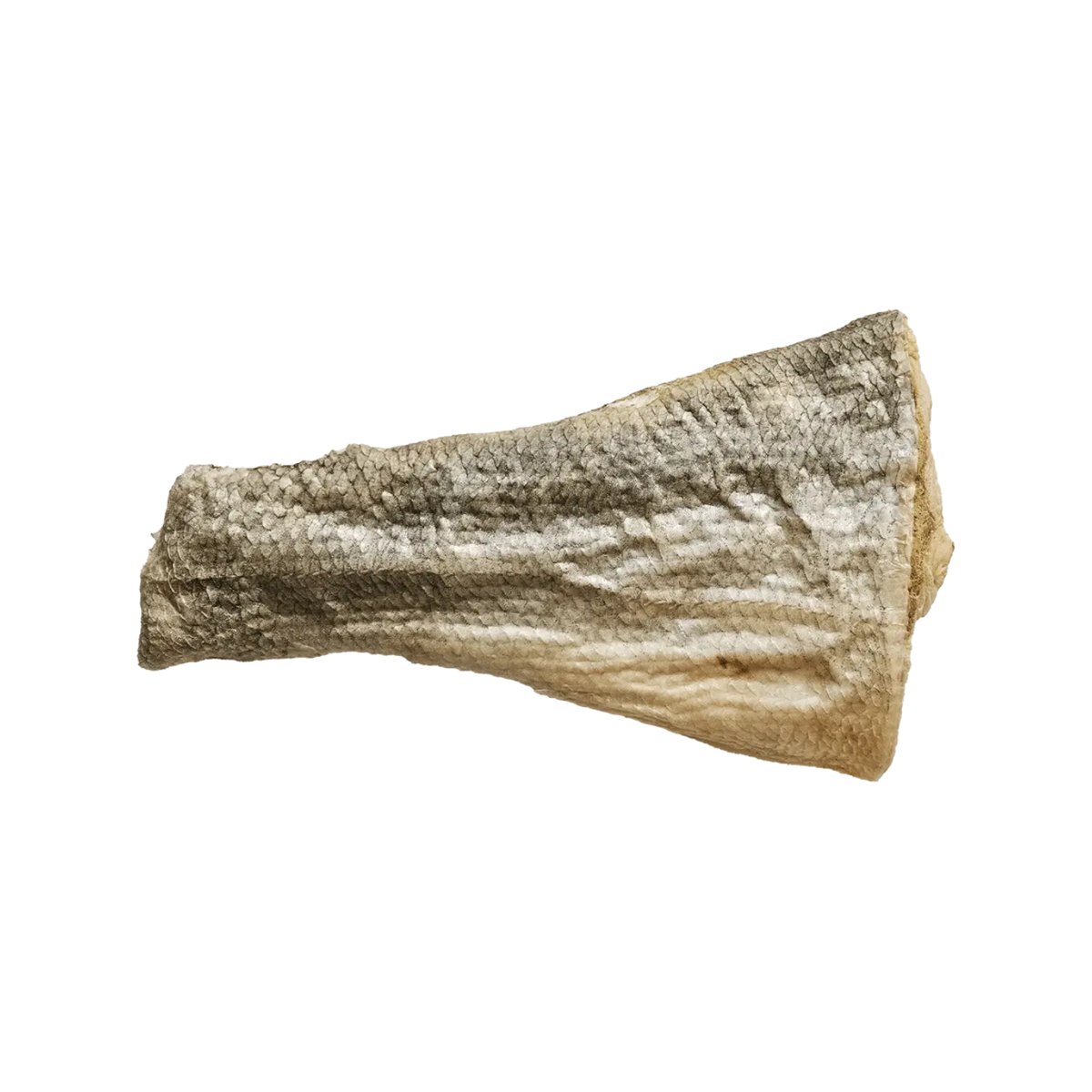 Freeze Dried Dog Treat - Raw Bar - Silver Carp Filet