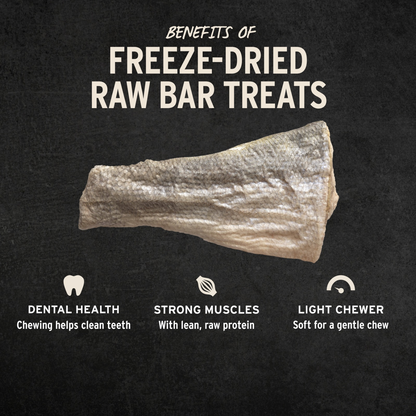 Freeze Dried Dog Treat - Raw Bar - Silver Carp Filet
