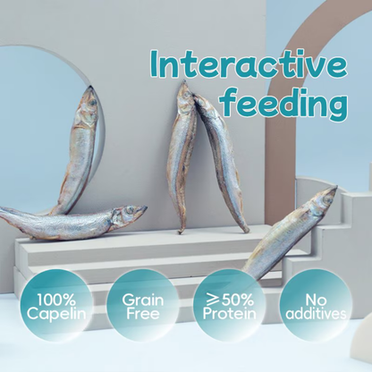 Freeze Dried Dog & Cat Treat - Capelin