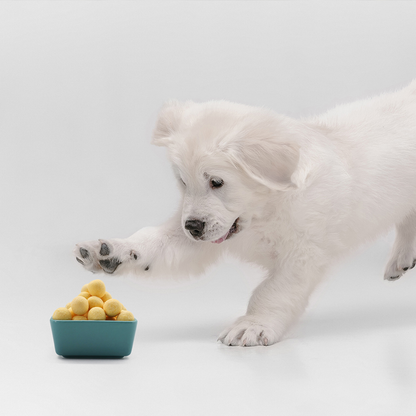 Freeze Dried Dog & Cat Treat - Quail Egg Yolk