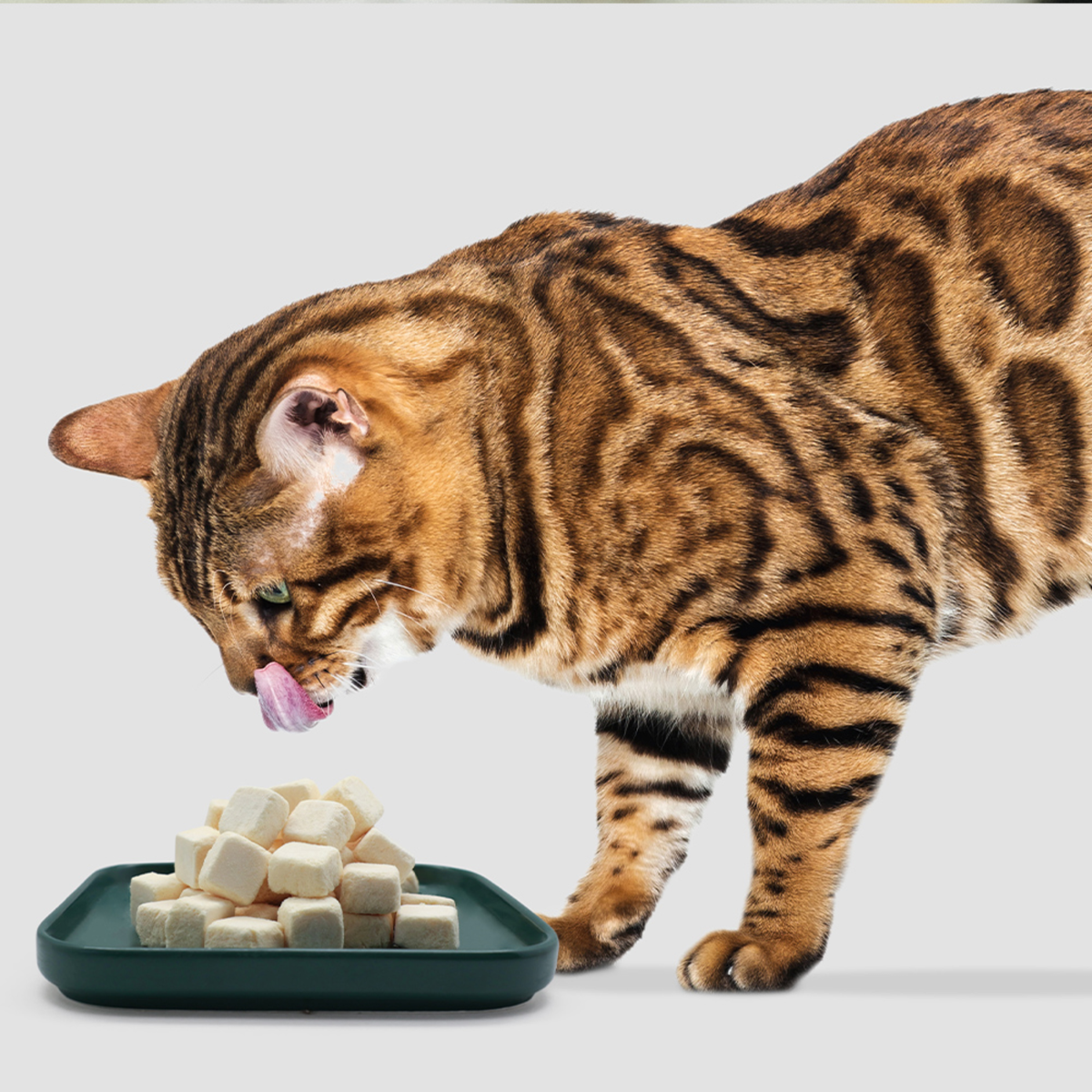 Freeze Dried Dog & Cat Treat - Yogurt Cubes (Mixed Flavor)