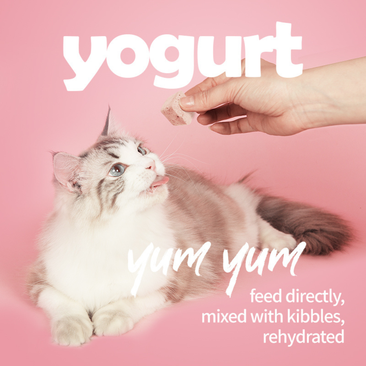 Freeze Dried Dog & Cat Treat - Yogurt Cubes (Mixed Flavor)