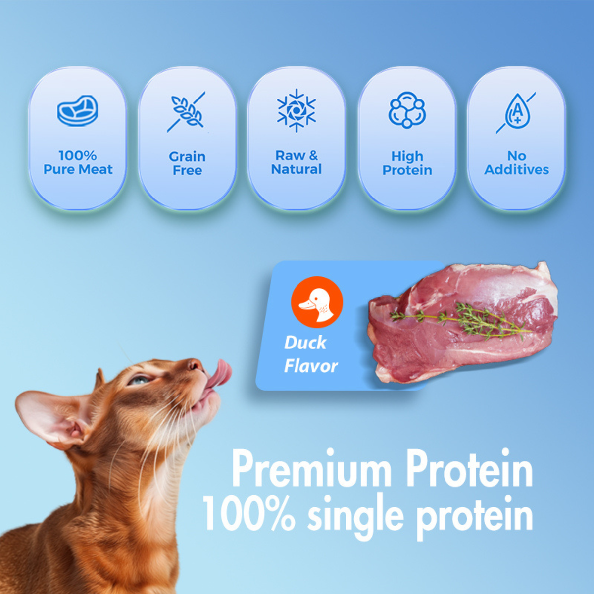 Freeze Dried Cat Treat - Duck