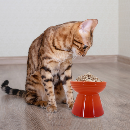 Freeze Dried Cat Treat - Duck
