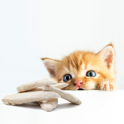 Freeze Dried Dog & Cat Treat - Chicken Breast Fillet