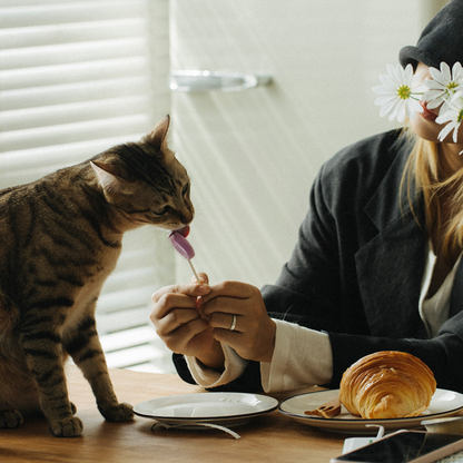 Freeze Dried Cat Treat - Lollipop (Mixed Flavor)
