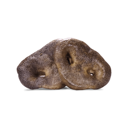 Freeze Dried Dog Treat - Raw Bar - Pig Snout