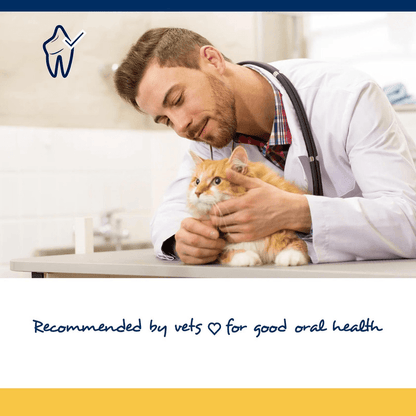 Cat Dental Care - PlaqueOff Soft Chews - 45 ct