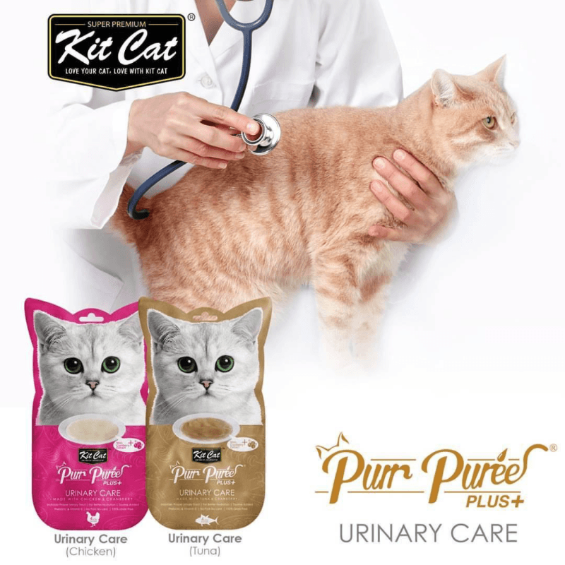 Cat Treat - Purr Purée PLUS+, URINARY CARE - Chicken & Cranberry - 15 g sachet, pack of 4