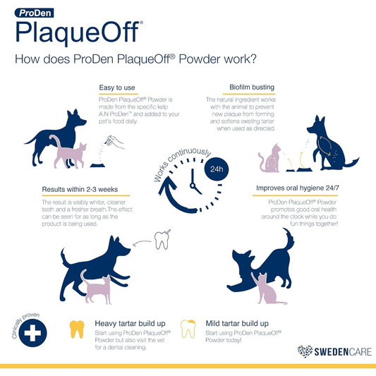 Dental Care - PlaqueOff Powder For Cats - 40 g