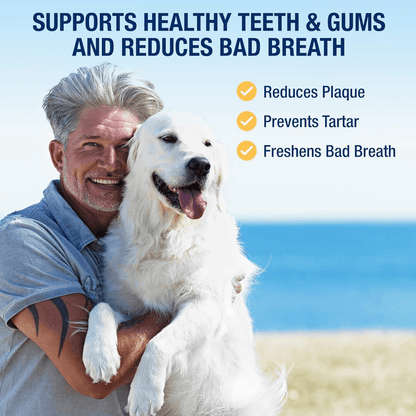 Dental Care - PlaqueOff Powder For Dogs & Cats