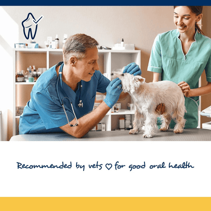 Dog & Cat Dental Care - PlaqueOff Soft Chews For Small & Medium Breed Dogs and Cats