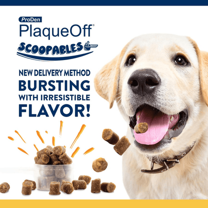 Dog Dental Care - SCOOPABLES - PlaqueOff Soft Chews For Large & Giant Breed Dogs - 45 scoops
