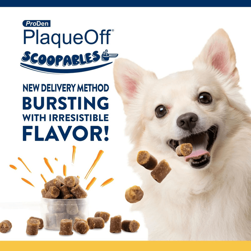 Dog Dental Care - SCOOPABLES - PlaqueOff Soft Chews For Small & Medium Breed Dogs - 45 scoops