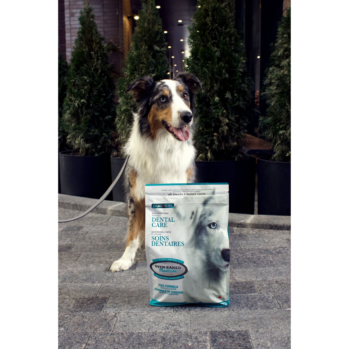Oven Baked Tradition Dental Care Dry Food For Adult Dogs