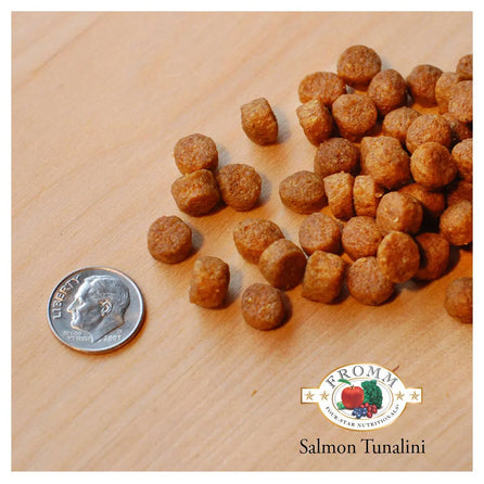 Fromm Grain-Free Adult Dog Food - Salmon Tunalini