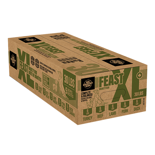 Big Country Raw - Dog - Chicken-Less Feast Variety Box XL